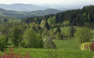 Ausblick von der Ferienwohnung Pichler